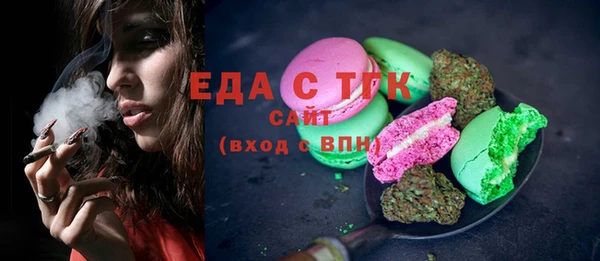 индика Осинники