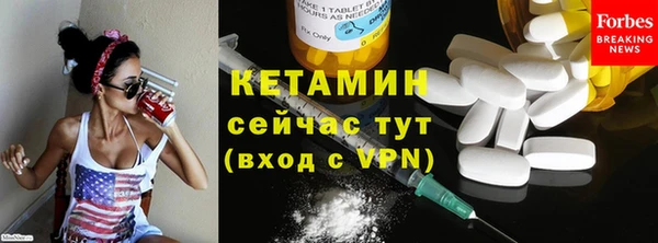 шишки Инта