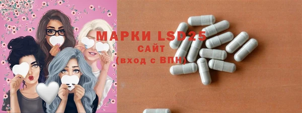 индика Осинники