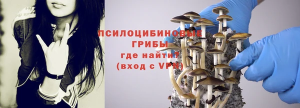 прущий лед Осташков