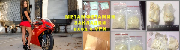 индика Осинники