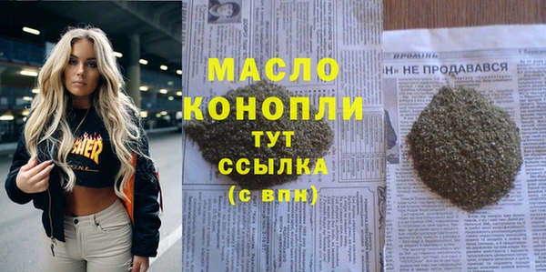 дмт Елизово