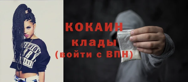 индика Осинники