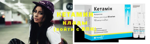 индика Осинники
