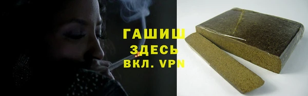 индика Осинники