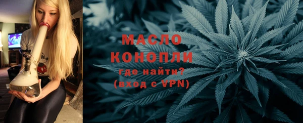 индика Осинники