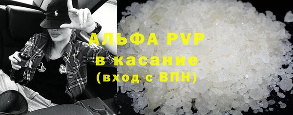 ПСИЛОЦИБИНОВЫЕ ГРИБЫ Ельня