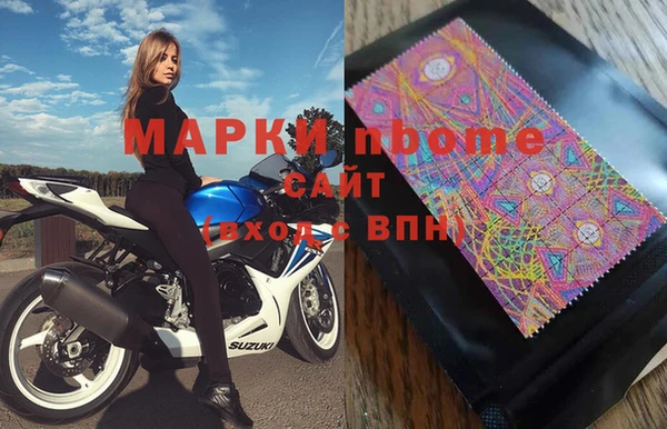 индика Осинники